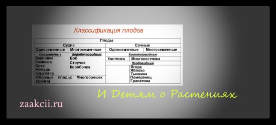 Портфель и детям о растениях