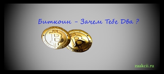 Биткоин и биткоин - рейтинг криптовалют: зачем тебе 2?